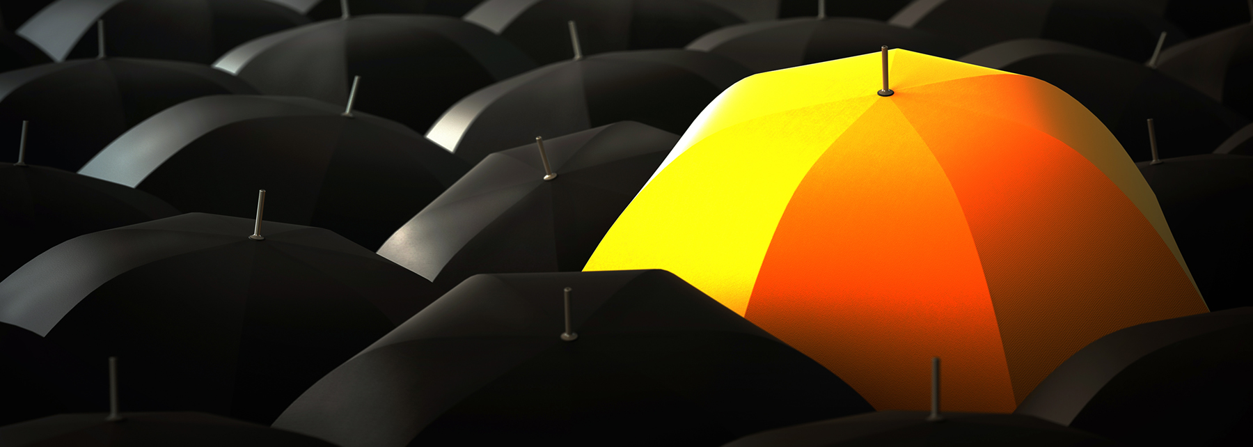 Personal Umbrella Liability